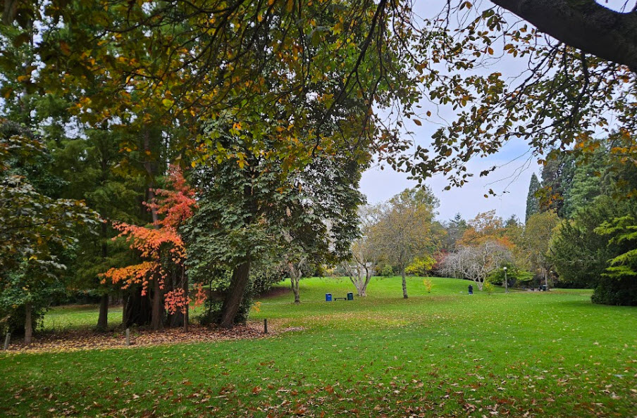 Maud Gordon Holmes Arboretum, United States
